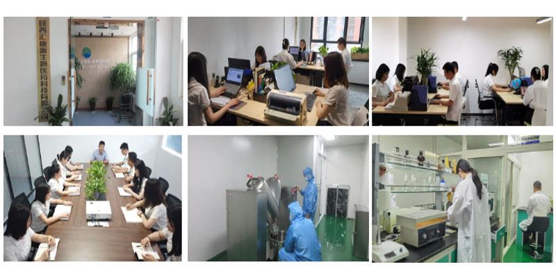 product-1-1 Polygonum Multiflorum Extract7