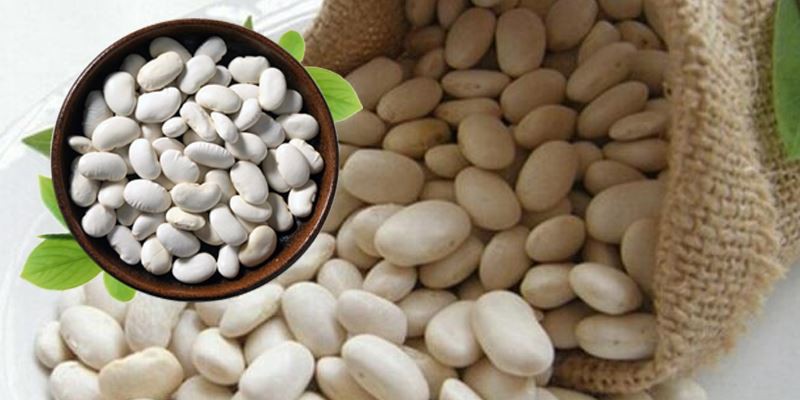 White kidney bean extract powder raw material display