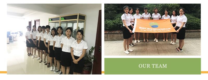 White kidney bean Extract Powder Company team