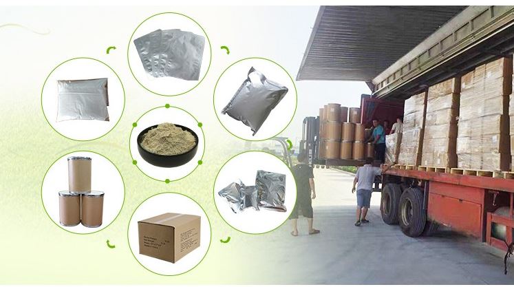 Packaging & Shipping