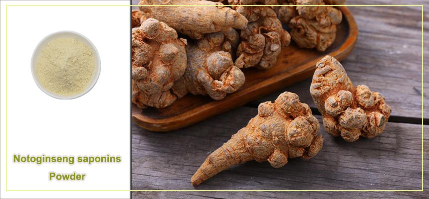 Notoginseng saponins powder raw material display Notoginseng saponins powder raw material display