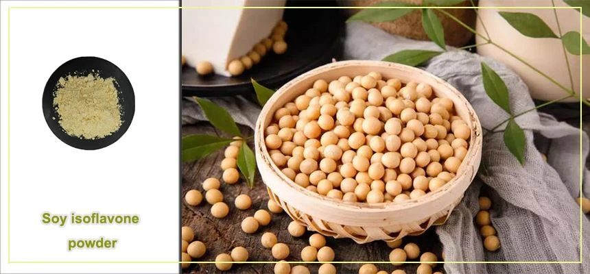 Soy isoflavone powder raw material display Soy isoflavone powder raw material display